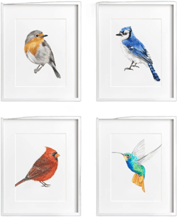 Bird Art Print, Bird Wall Decor, Garden Watercolor Painting, Bird Lover Woodland Birthday Gift, UNFRAMED, Signed by Artist (8x10" Unframed, Set of 4)