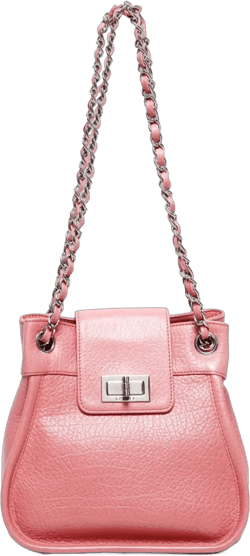 2012 2.55 shoulder bag